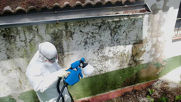 Trusted Mold Testing service in Pomeroy, WA - Cheap Mold Removal